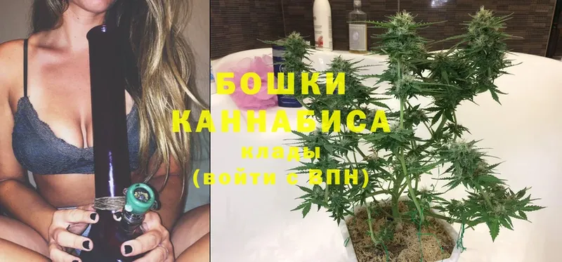 Шишки марихуана Ganja  где можно купить   площадка формула  Бор 